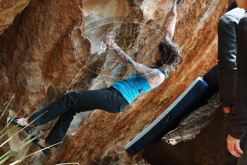 Bouldering in Hueco Tanks on 03/15/2019 with Blue Lizard Climbing and Yoga

Filename: SRM_20190315_1436420.jpg
Aperture: f/5.6
Shutter Speed: 1/80
Body: Canon EOS-1D Mark II
Lens: Canon EF 50mm f/1.8 II