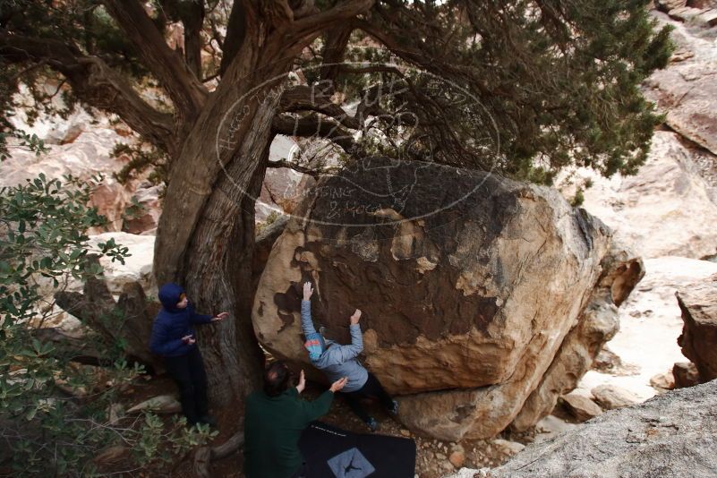 Bouldering in Hueco Tanks on 03/15/2019 with Blue Lizard Climbing and Yoga

Filename: SRM_20190315_1617100.jpg
Aperture: f/5.6
Shutter Speed: 1/250
Body: Canon EOS-1D Mark II
Lens: Canon EF 16-35mm f/2.8 L
