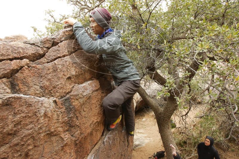 Bouldering in Hueco Tanks on 03/16/2019 with Blue Lizard Climbing and Yoga

Filename: SRM_20190316_1121530.jpg
Aperture: f/6.3
Shutter Speed: 1/125
Body: Canon EOS-1D Mark II
Lens: Canon EF 16-35mm f/2.8 L