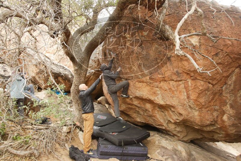 Bouldering in Hueco Tanks on 03/16/2019 with Blue Lizard Climbing and Yoga

Filename: SRM_20190316_1128340.jpg
Aperture: f/4.0
Shutter Speed: 1/100
Body: Canon EOS-1D Mark II
Lens: Canon EF 16-35mm f/2.8 L