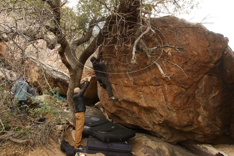 Bouldering in Hueco Tanks on 03/16/2019 with Blue Lizard Climbing and Yoga

Filename: SRM_20190316_1128430.jpg
Aperture: f/5.6
Shutter Speed: 1/100
Body: Canon EOS-1D Mark II
Lens: Canon EF 16-35mm f/2.8 L