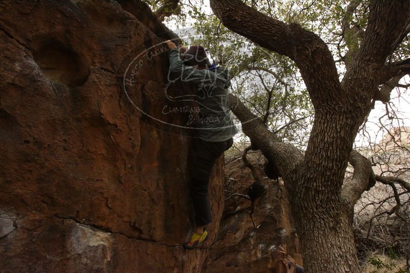 Bouldering in Hueco Tanks on 03/16/2019 with Blue Lizard Climbing and Yoga

Filename: SRM_20190316_1132420.jpg
Aperture: f/7.1
Shutter Speed: 1/100
Body: Canon EOS-1D Mark II
Lens: Canon EF 16-35mm f/2.8 L