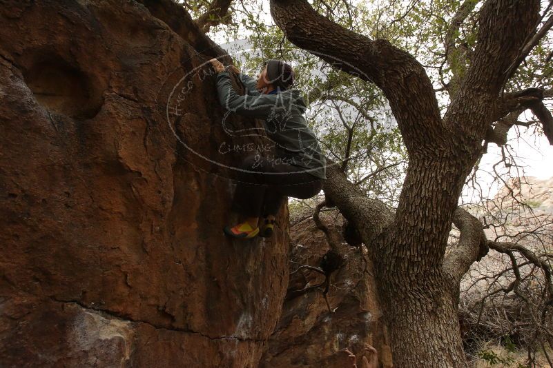 Bouldering in Hueco Tanks on 03/16/2019 with Blue Lizard Climbing and Yoga

Filename: SRM_20190316_1132440.jpg
Aperture: f/7.1
Shutter Speed: 1/100
Body: Canon EOS-1D Mark II
Lens: Canon EF 16-35mm f/2.8 L