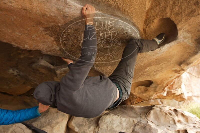 Bouldering in Hueco Tanks on 03/16/2019 with Blue Lizard Climbing and Yoga

Filename: SRM_20190316_1209060.jpg
Aperture: f/5.6
Shutter Speed: 1/125
Body: Canon EOS-1D Mark II
Lens: Canon EF 16-35mm f/2.8 L