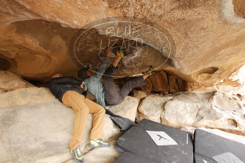 Bouldering in Hueco Tanks on 03/16/2019 with Blue Lizard Climbing and Yoga

Filename: SRM_20190316_1220510.jpg
Aperture: f/4.0
Shutter Speed: 1/125
Body: Canon EOS-1D Mark II
Lens: Canon EF 16-35mm f/2.8 L