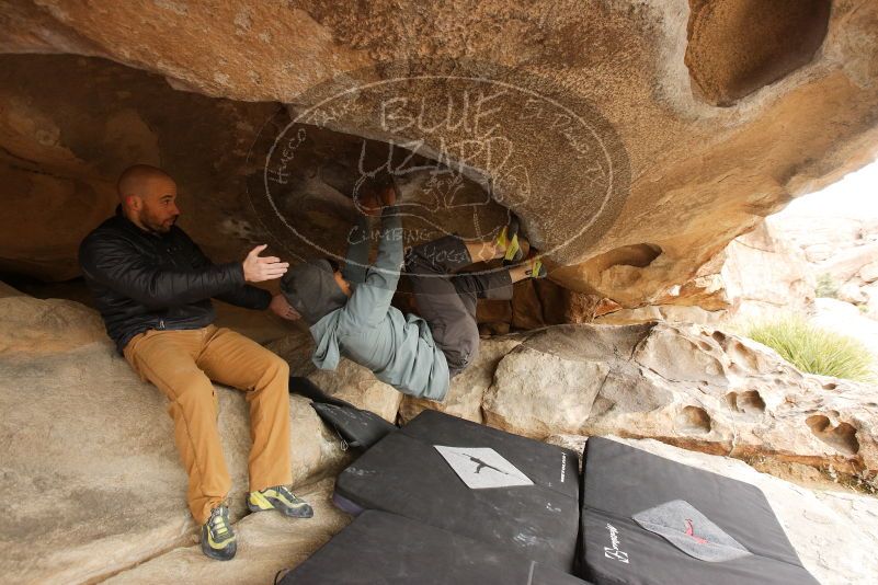 Bouldering in Hueco Tanks on 03/16/2019 with Blue Lizard Climbing and Yoga

Filename: SRM_20190316_1220560.jpg
Aperture: f/5.0
Shutter Speed: 1/125
Body: Canon EOS-1D Mark II
Lens: Canon EF 16-35mm f/2.8 L