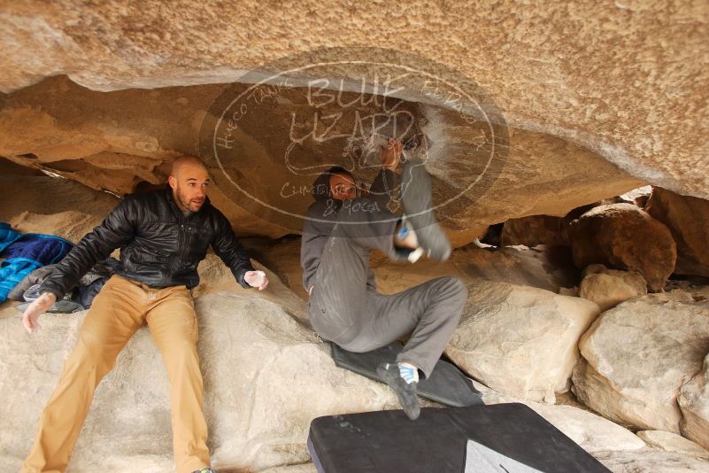 Bouldering in Hueco Tanks on 03/16/2019 with Blue Lizard Climbing and Yoga

Filename: SRM_20190316_1226080.jpg
Aperture: f/4.0
Shutter Speed: 1/160
Body: Canon EOS-1D Mark II
Lens: Canon EF 16-35mm f/2.8 L