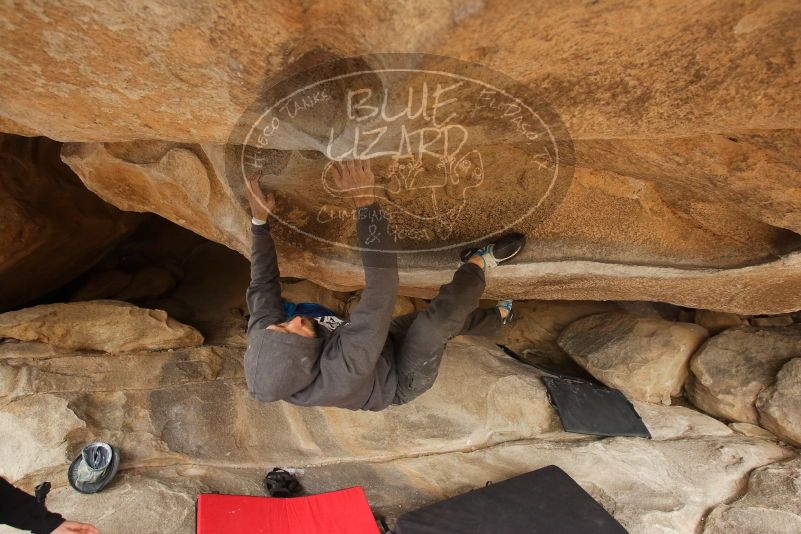 Bouldering in Hueco Tanks on 03/16/2019 with Blue Lizard Climbing and Yoga

Filename: SRM_20190316_1234290.jpg
Aperture: f/5.0
Shutter Speed: 1/250
Body: Canon EOS-1D Mark II
Lens: Canon EF 16-35mm f/2.8 L