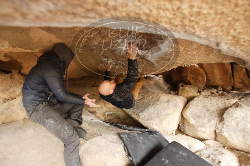 Bouldering in Hueco Tanks on 03/16/2019 with Blue Lizard Climbing and Yoga

Filename: SRM_20190316_1238480.jpg
Aperture: f/2.8
Shutter Speed: 1/250
Body: Canon EOS-1D Mark II
Lens: Canon EF 16-35mm f/2.8 L