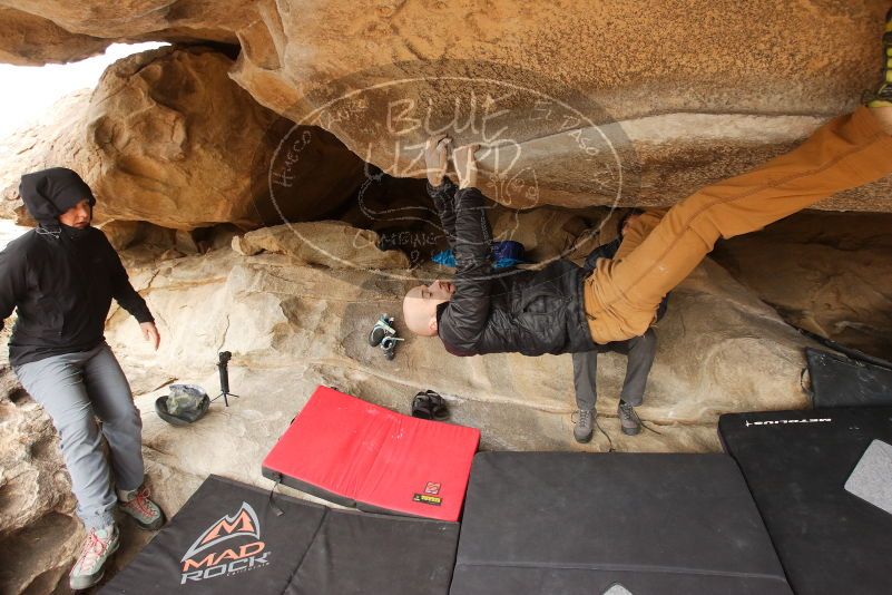 Bouldering in Hueco Tanks on 03/16/2019 with Blue Lizard Climbing and Yoga

Filename: SRM_20190316_1239020.jpg
Aperture: f/5.0
Shutter Speed: 1/250
Body: Canon EOS-1D Mark II
Lens: Canon EF 16-35mm f/2.8 L