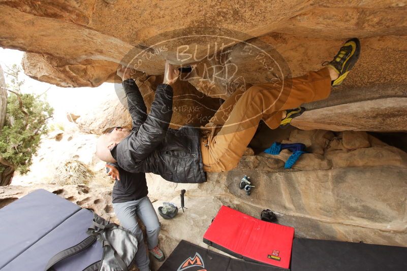 Bouldering in Hueco Tanks on 03/16/2019 with Blue Lizard Climbing and Yoga

Filename: SRM_20190316_1239160.jpg
Aperture: f/5.0
Shutter Speed: 1/250
Body: Canon EOS-1D Mark II
Lens: Canon EF 16-35mm f/2.8 L