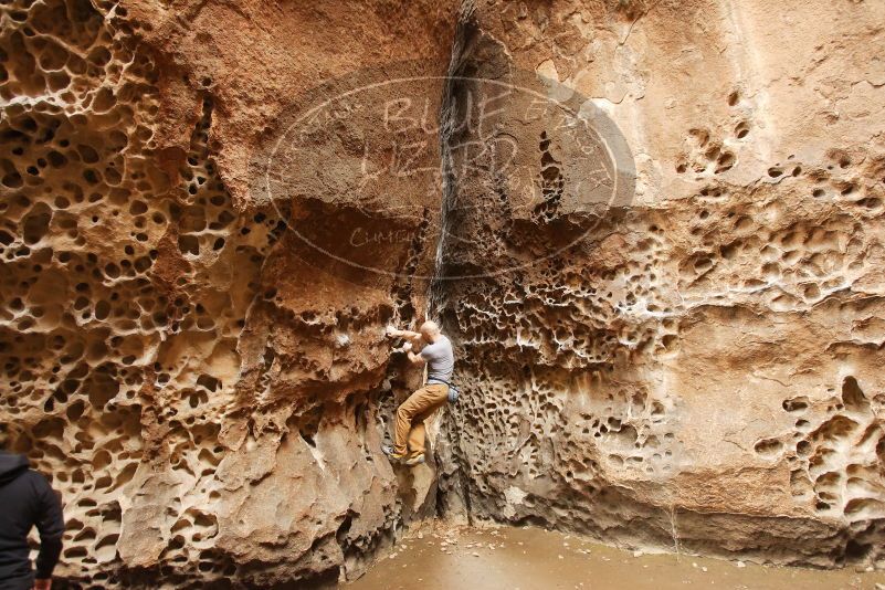 Bouldering in Hueco Tanks on 03/16/2019 with Blue Lizard Climbing and Yoga

Filename: SRM_20190316_1359380.jpg
Aperture: f/4.0
Shutter Speed: 1/50
Body: Canon EOS-1D Mark II
Lens: Canon EF 16-35mm f/2.8 L