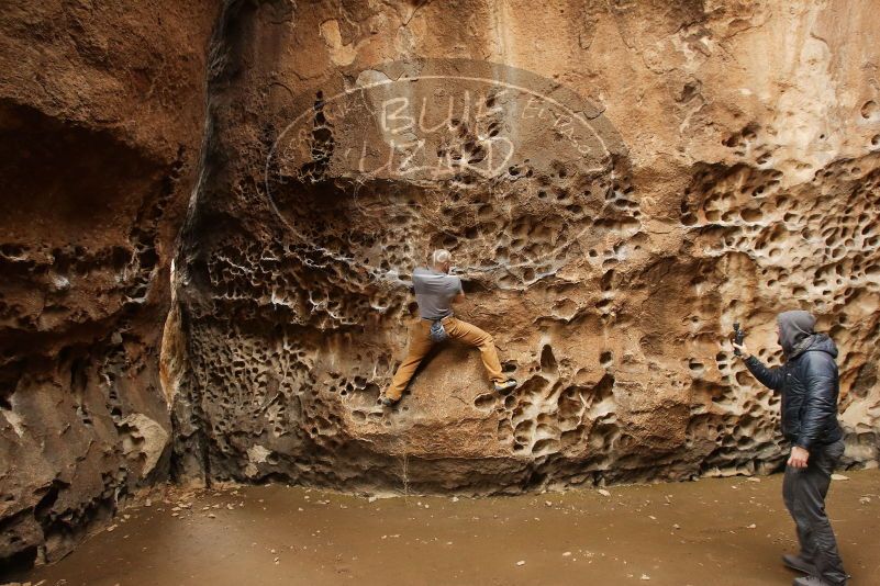 Bouldering in Hueco Tanks on 03/16/2019 with Blue Lizard Climbing and Yoga

Filename: SRM_20190316_1359540.jpg
Aperture: f/6.3
Shutter Speed: 1/50
Body: Canon EOS-1D Mark II
Lens: Canon EF 16-35mm f/2.8 L