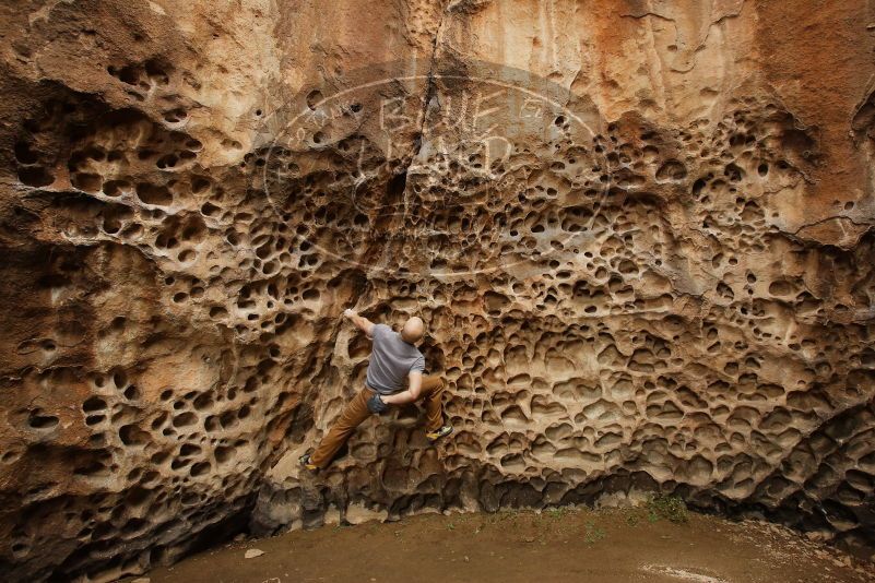 Bouldering in Hueco Tanks on 03/16/2019 with Blue Lizard Climbing and Yoga

Filename: SRM_20190316_1400280.jpg
Aperture: f/5.6
Shutter Speed: 1/60
Body: Canon EOS-1D Mark II
Lens: Canon EF 16-35mm f/2.8 L
