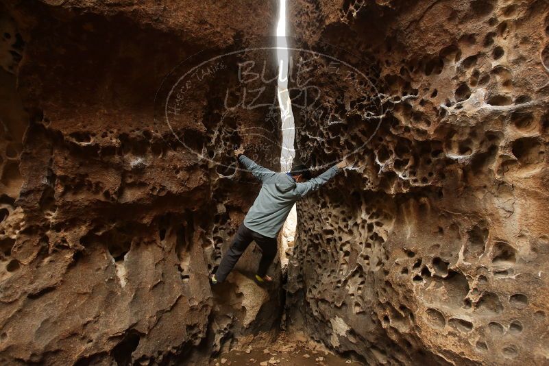 Bouldering in Hueco Tanks on 03/16/2019 with Blue Lizard Climbing and Yoga

Filename: SRM_20190316_1401460.jpg
Aperture: f/4.5
Shutter Speed: 1/60
Body: Canon EOS-1D Mark II
Lens: Canon EF 16-35mm f/2.8 L