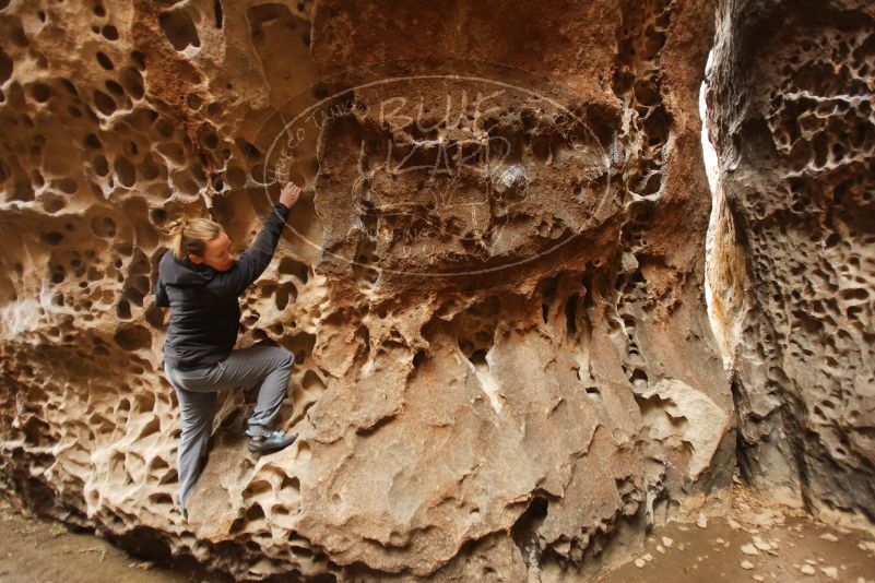 Bouldering in Hueco Tanks on 03/16/2019 with Blue Lizard Climbing and Yoga

Filename: SRM_20190316_1402220.jpg
Aperture: f/3.2
Shutter Speed: 1/60
Body: Canon EOS-1D Mark II
Lens: Canon EF 16-35mm f/2.8 L