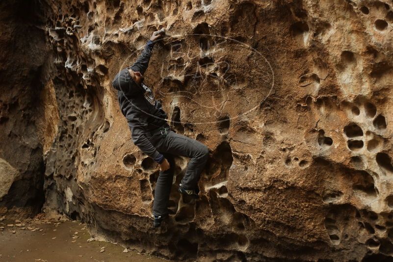 Bouldering in Hueco Tanks on 03/16/2019 with Blue Lizard Climbing and Yoga

Filename: SRM_20190316_1408590.jpg
Aperture: f/2.5
Shutter Speed: 1/200
Body: Canon EOS-1D Mark II
Lens: Canon EF 50mm f/1.8 II
