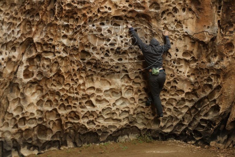 Bouldering in Hueco Tanks on 03/16/2019 with Blue Lizard Climbing and Yoga

Filename: SRM_20190316_1410220.jpg
Aperture: f/2.8
Shutter Speed: 1/250
Body: Canon EOS-1D Mark II
Lens: Canon EF 50mm f/1.8 II