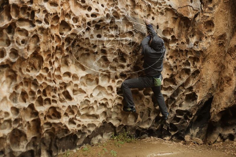 Bouldering in Hueco Tanks on 03/16/2019 with Blue Lizard Climbing and Yoga

Filename: SRM_20190316_1414130.jpg
Aperture: f/2.8
Shutter Speed: 1/200
Body: Canon EOS-1D Mark II
Lens: Canon EF 50mm f/1.8 II