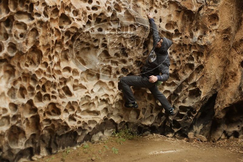 Bouldering in Hueco Tanks on 03/16/2019 with Blue Lizard Climbing and Yoga

Filename: SRM_20190316_1414150.jpg
Aperture: f/2.8
Shutter Speed: 1/200
Body: Canon EOS-1D Mark II
Lens: Canon EF 50mm f/1.8 II
