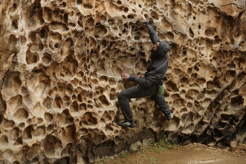 Bouldering in Hueco Tanks on 03/16/2019 with Blue Lizard Climbing and Yoga

Filename: SRM_20190316_1414240.jpg
Aperture: f/2.8
Shutter Speed: 1/200
Body: Canon EOS-1D Mark II
Lens: Canon EF 50mm f/1.8 II