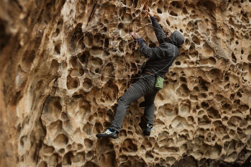 Bouldering in Hueco Tanks on 03/16/2019 with Blue Lizard Climbing and Yoga

Filename: SRM_20190316_1414280.jpg
Aperture: f/2.8
Shutter Speed: 1/250
Body: Canon EOS-1D Mark II
Lens: Canon EF 50mm f/1.8 II
