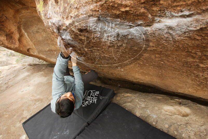 Bouldering in Hueco Tanks on 03/16/2019 with Blue Lizard Climbing and Yoga

Filename: SRM_20190316_1500040.jpg
Aperture: f/5.6
Shutter Speed: 1/200
Body: Canon EOS-1D Mark II
Lens: Canon EF 16-35mm f/2.8 L