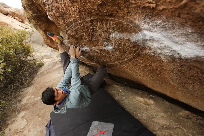 Bouldering in Hueco Tanks on 03/16/2019 with Blue Lizard Climbing and Yoga

Filename: SRM_20190316_1500210.jpg
Aperture: f/5.6
Shutter Speed: 1/320
Body: Canon EOS-1D Mark II
Lens: Canon EF 16-35mm f/2.8 L