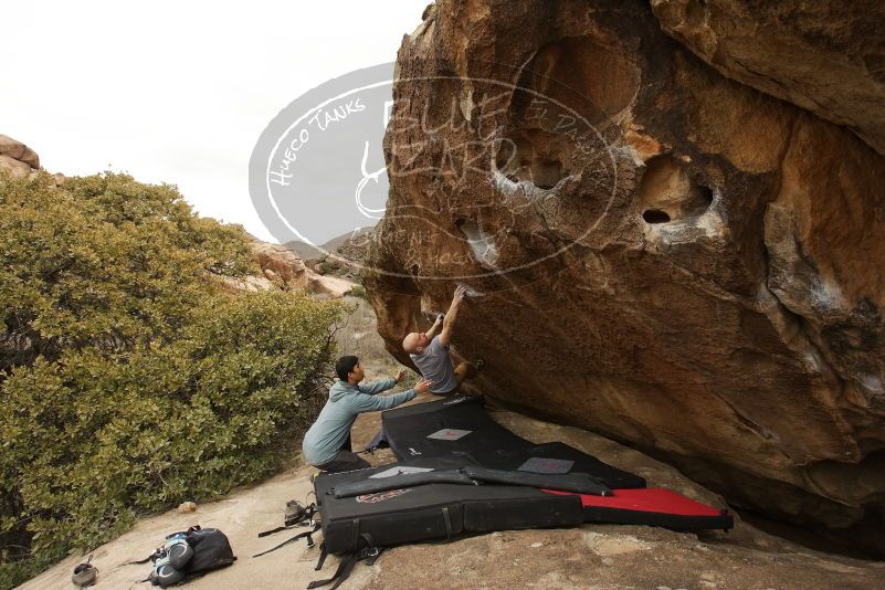 Bouldering in Hueco Tanks on 03/16/2019 with Blue Lizard Climbing and Yoga

Filename: SRM_20190316_1504140.jpg
Aperture: f/5.6
Shutter Speed: 1/640
Body: Canon EOS-1D Mark II
Lens: Canon EF 16-35mm f/2.8 L
