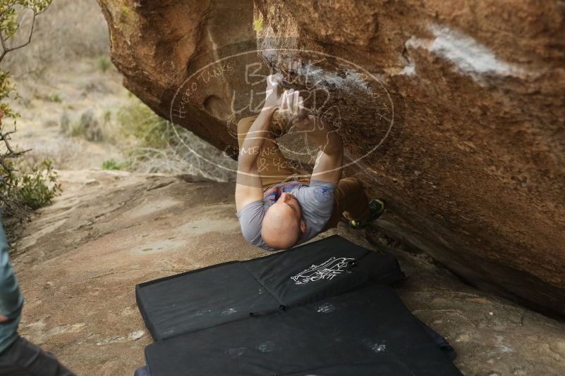 Bouldering in Hueco Tanks on 03/16/2019 with Blue Lizard Climbing and Yoga

Filename: SRM_20190316_1518390.jpg
Aperture: f/2.8
Shutter Speed: 1/400
Body: Canon EOS-1D Mark II
Lens: Canon EF 50mm f/1.8 II