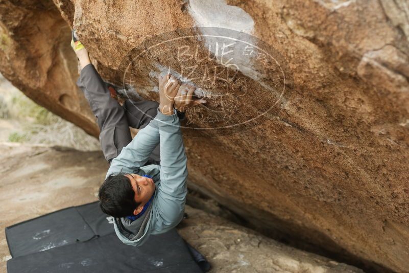 Bouldering in Hueco Tanks on 03/16/2019 with Blue Lizard Climbing and Yoga

Filename: SRM_20190316_1520420.jpg
Aperture: f/2.8
Shutter Speed: 1/250
Body: Canon EOS-1D Mark II
Lens: Canon EF 50mm f/1.8 II