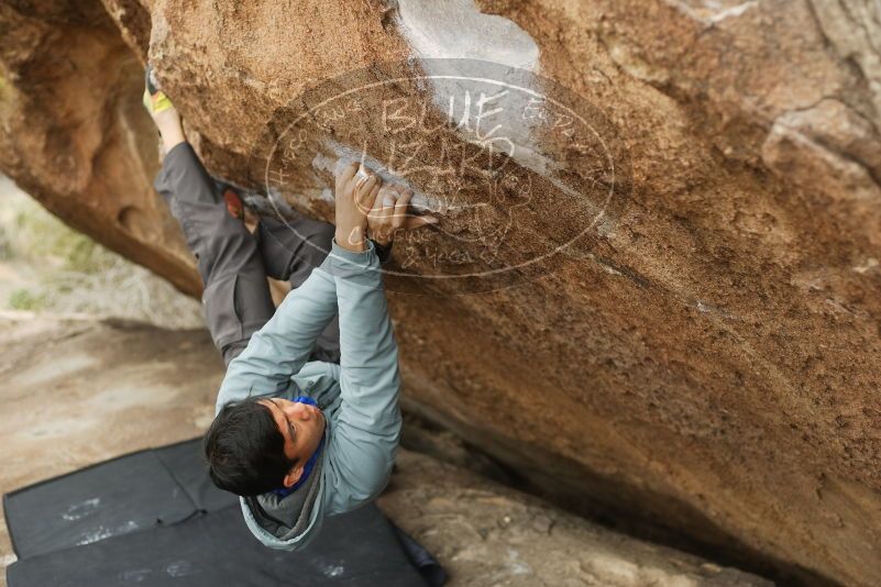 Bouldering in Hueco Tanks on 03/16/2019 with Blue Lizard Climbing and Yoga

Filename: SRM_20190316_1520430.jpg
Aperture: f/2.8
Shutter Speed: 1/250
Body: Canon EOS-1D Mark II
Lens: Canon EF 50mm f/1.8 II