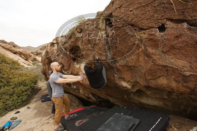 Bouldering in Hueco Tanks on 03/16/2019 with Blue Lizard Climbing and Yoga

Filename: SRM_20190316_1546410.jpg
Aperture: f/5.6
Shutter Speed: 1/800
Body: Canon EOS-1D Mark II
Lens: Canon EF 16-35mm f/2.8 L