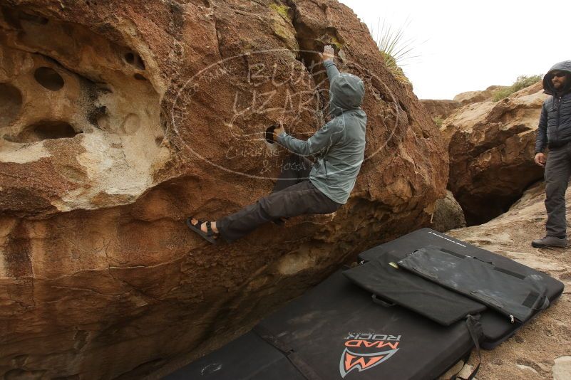 Bouldering in Hueco Tanks on 03/16/2019 with Blue Lizard Climbing and Yoga

Filename: SRM_20190316_1548570.jpg
Aperture: f/5.6
Shutter Speed: 1/800
Body: Canon EOS-1D Mark II
Lens: Canon EF 16-35mm f/2.8 L