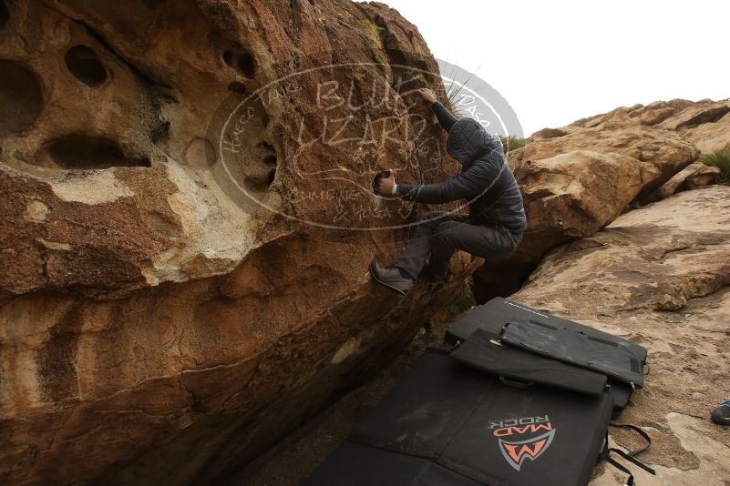 Bouldering in Hueco Tanks on 03/16/2019 with Blue Lizard Climbing and Yoga

Filename: SRM_20190316_1549510.jpg
Aperture: f/5.6
Shutter Speed: 1/1000
Body: Canon EOS-1D Mark II
Lens: Canon EF 16-35mm f/2.8 L
