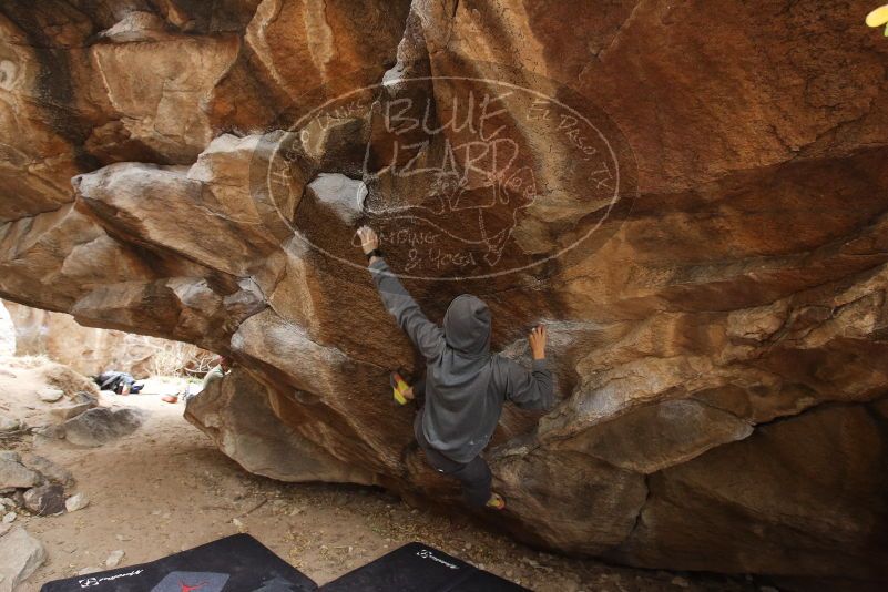 Bouldering in Hueco Tanks on 03/16/2019 with Blue Lizard Climbing and Yoga

Filename: SRM_20190316_1703090.jpg
Aperture: f/5.0
Shutter Speed: 1/160
Body: Canon EOS-1D Mark II
Lens: Canon EF 16-35mm f/2.8 L