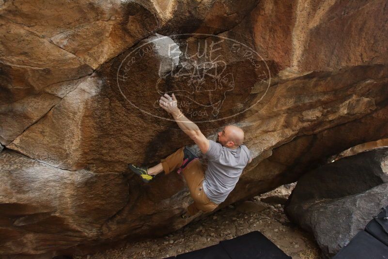 Bouldering in Hueco Tanks on 03/16/2019 with Blue Lizard Climbing and Yoga

Filename: SRM_20190316_1719300.jpg
Aperture: f/5.0
Shutter Speed: 1/200
Body: Canon EOS-1D Mark II
Lens: Canon EF 16-35mm f/2.8 L