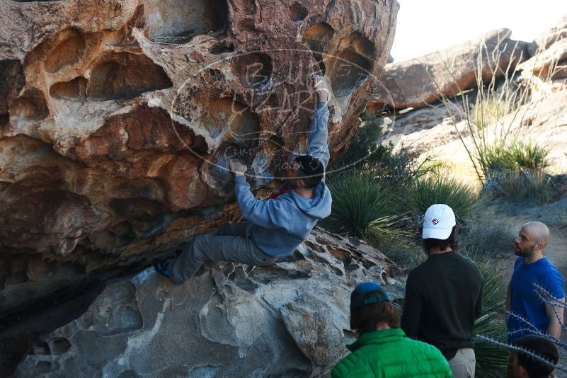 Bouldering in Hueco Tanks on 03/17/2019 with Blue Lizard Climbing and Yoga

Filename: SRM_20190317_0922250.jpg
Aperture: f/4.0
Shutter Speed: 1/400
Body: Canon EOS-1D Mark II
Lens: Canon EF 50mm f/1.8 II