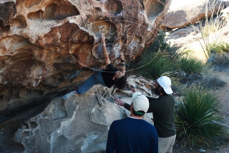 Bouldering in Hueco Tanks on 03/17/2019 with Blue Lizard Climbing and Yoga

Filename: SRM_20190317_0923490.jpg
Aperture: f/4.0
Shutter Speed: 1/250
Body: Canon EOS-1D Mark II
Lens: Canon EF 50mm f/1.8 II