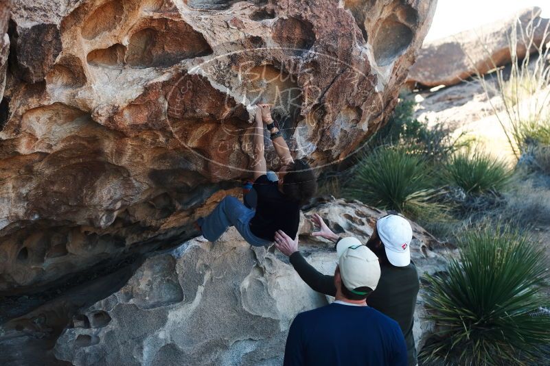Bouldering in Hueco Tanks on 03/17/2019 with Blue Lizard Climbing and Yoga

Filename: SRM_20190317_0923550.jpg
Aperture: f/4.0
Shutter Speed: 1/250
Body: Canon EOS-1D Mark II
Lens: Canon EF 50mm f/1.8 II