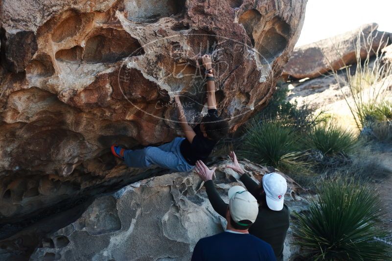 Bouldering in Hueco Tanks on 03/17/2019 with Blue Lizard Climbing and Yoga

Filename: SRM_20190317_0923560.jpg
Aperture: f/4.0
Shutter Speed: 1/320
Body: Canon EOS-1D Mark II
Lens: Canon EF 50mm f/1.8 II