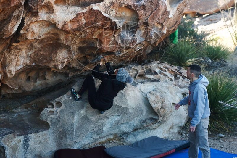 Bouldering in Hueco Tanks on 03/17/2019 with Blue Lizard Climbing and Yoga

Filename: SRM_20190317_0925570.jpg
Aperture: f/4.0
Shutter Speed: 1/250
Body: Canon EOS-1D Mark II
Lens: Canon EF 50mm f/1.8 II