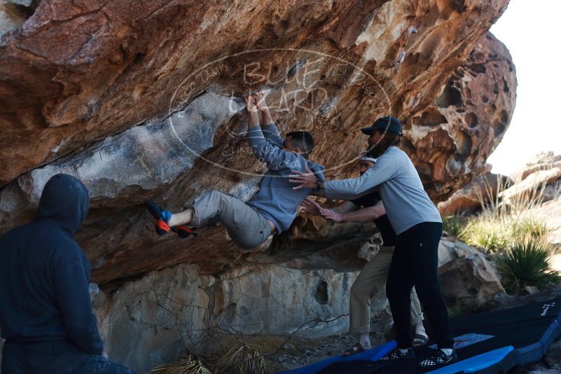 Bouldering in Hueco Tanks on 03/17/2019 with Blue Lizard Climbing and Yoga

Filename: SRM_20190317_1009360.jpg
Aperture: f/4.0
Shutter Speed: 1/400
Body: Canon EOS-1D Mark II
Lens: Canon EF 50mm f/1.8 II