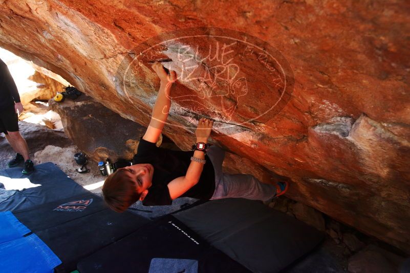 Bouldering in Hueco Tanks on 03/17/2019 with Blue Lizard Climbing and Yoga

Filename: SRM_20190317_1301160.jpg
Aperture: f/5.6
Shutter Speed: 1/160
Body: Canon EOS-1D Mark II
Lens: Canon EF 16-35mm f/2.8 L