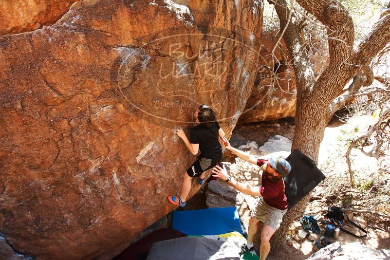 Bouldering in Hueco Tanks on 03/17/2019 with Blue Lizard Climbing and Yoga

Filename: SRM_20190317_1423410.jpg
Aperture: f/5.6
Shutter Speed: 1/320
Body: Canon EOS-1D Mark II
Lens: Canon EF 16-35mm f/2.8 L