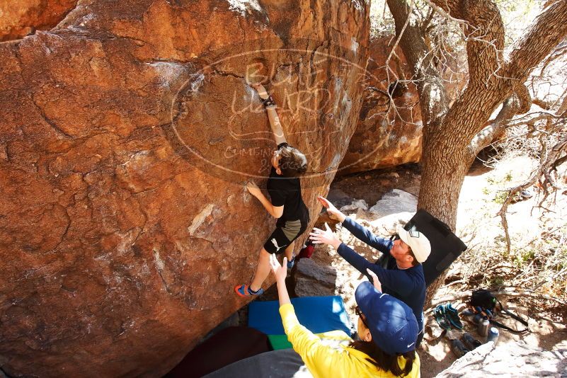 Bouldering in Hueco Tanks on 03/17/2019 with Blue Lizard Climbing and Yoga

Filename: SRM_20190317_1427312.jpg
Aperture: f/5.6
Shutter Speed: 1/200
Body: Canon EOS-1D Mark II
Lens: Canon EF 16-35mm f/2.8 L