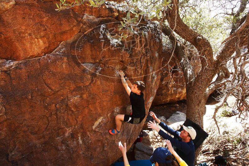 Bouldering in Hueco Tanks on 03/17/2019 with Blue Lizard Climbing and Yoga

Filename: SRM_20190317_1427370.jpg
Aperture: f/5.6
Shutter Speed: 1/250
Body: Canon EOS-1D Mark II
Lens: Canon EF 16-35mm f/2.8 L
