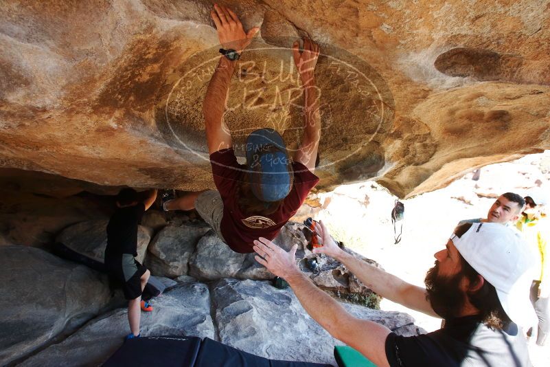 Bouldering in Hueco Tanks on 03/17/2019 with Blue Lizard Climbing and Yoga

Filename: SRM_20190317_1546200.jpg
Aperture: f/5.6
Shutter Speed: 1/250
Body: Canon EOS-1D Mark II
Lens: Canon EF 16-35mm f/2.8 L