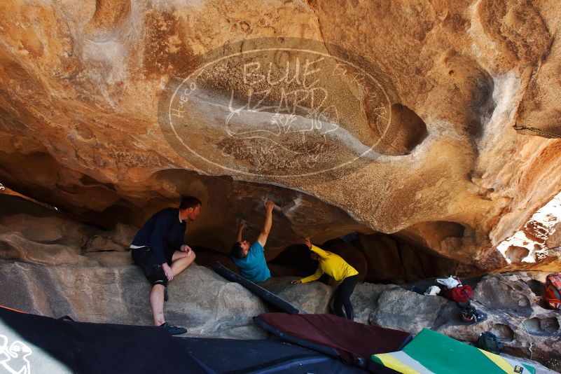 Bouldering in Hueco Tanks on 03/17/2019 with Blue Lizard Climbing and Yoga

Filename: SRM_20190317_1555260.jpg
Aperture: f/5.6
Shutter Speed: 1/250
Body: Canon EOS-1D Mark II
Lens: Canon EF 16-35mm f/2.8 L
