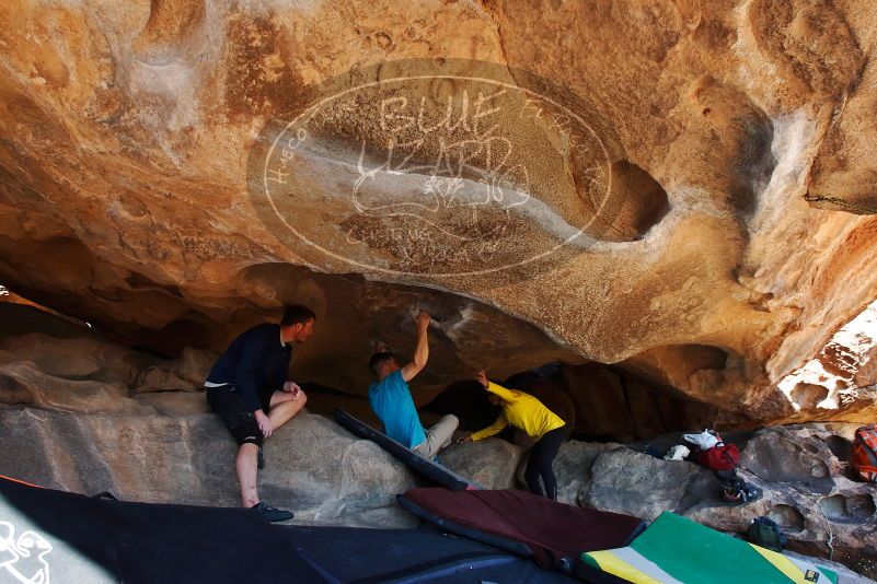 Bouldering in Hueco Tanks on 03/17/2019 with Blue Lizard Climbing and Yoga

Filename: SRM_20190317_1555261.jpg
Aperture: f/5.6
Shutter Speed: 1/250
Body: Canon EOS-1D Mark II
Lens: Canon EF 16-35mm f/2.8 L